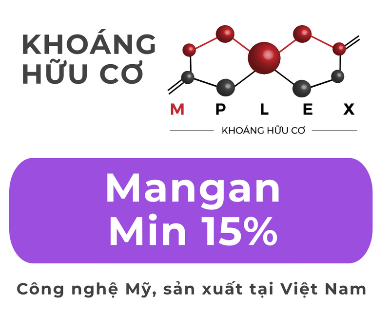 MANGANPLEX (KHOÁNG HỮU CƠ MANGAN MIN 15%)
