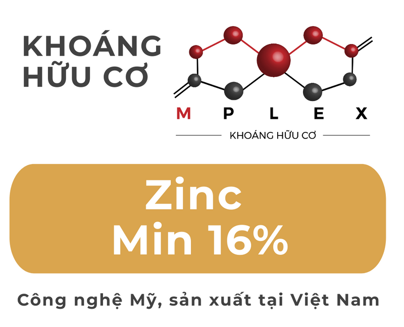 ZINPLEX (KHOÁNG HỮU CƠ KẼM ZINC MIN 16%)